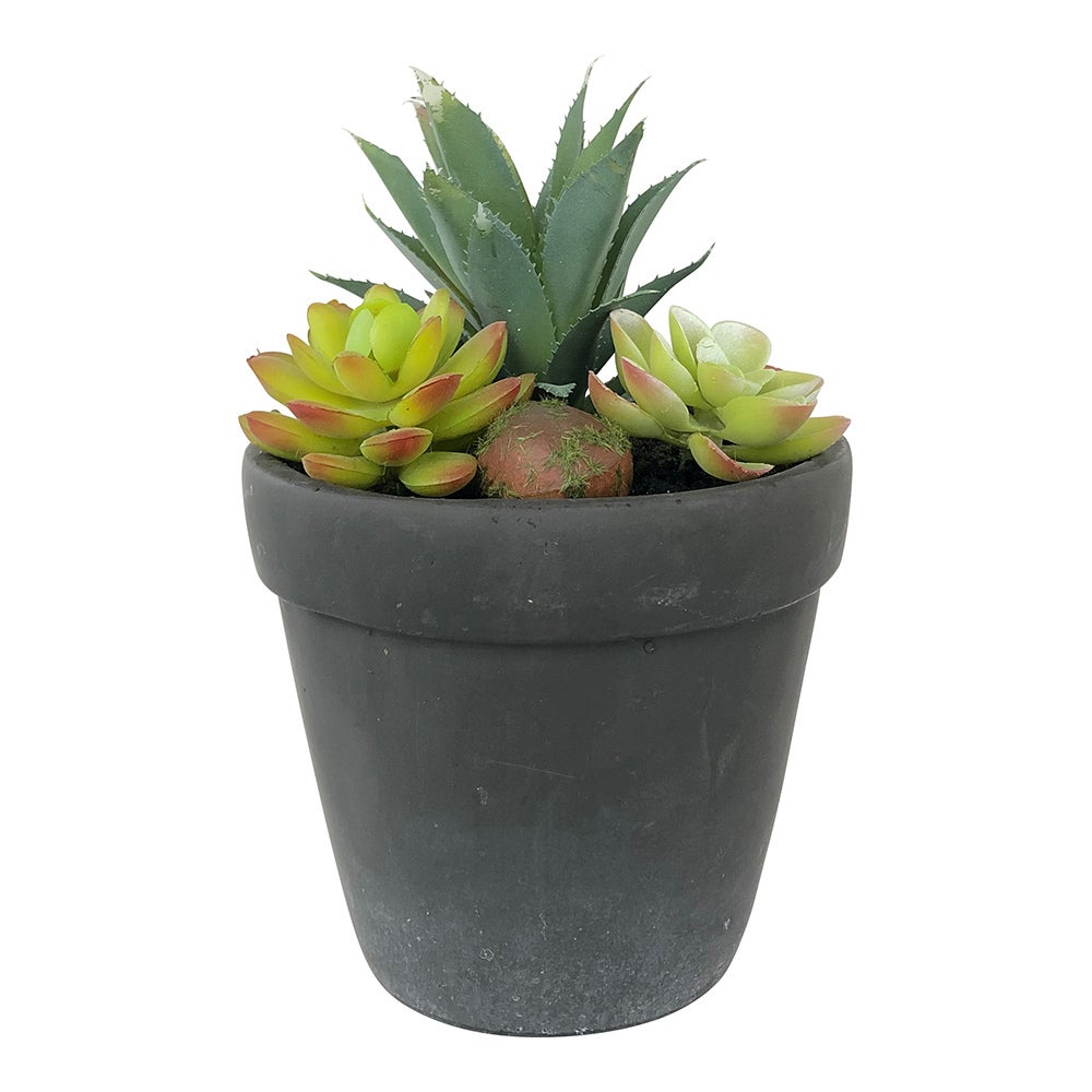 Table Art, Faux Succulent Arrangement, 5.5 x 5.5 x 9 Inch, Plastic, in Brushed Charcoal Cement Flower Pot,1 - 1 EACH