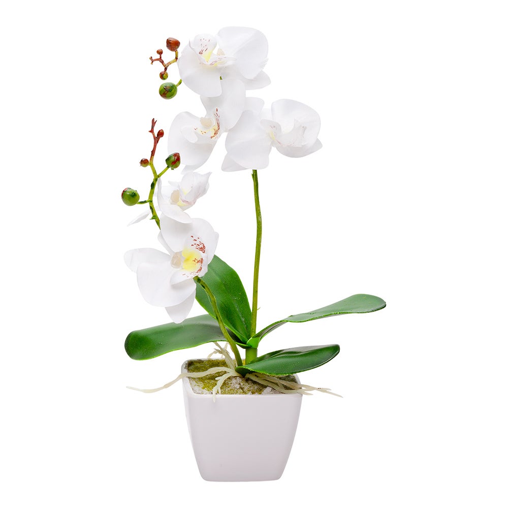 Orchids, White, Faux, with 5 Blooms, in White Plastic Pot,1 - 12 COUNT