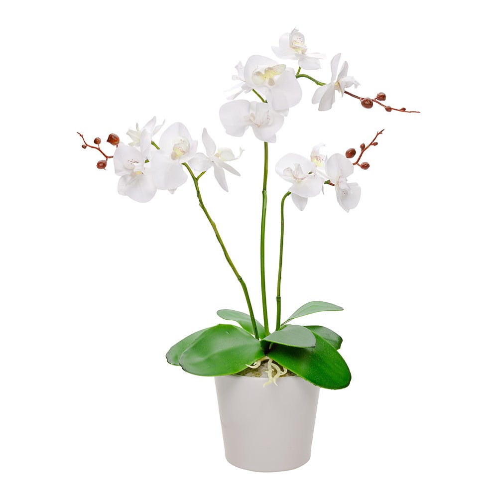 Orchids, White, Faux, with 6 Blooms, in White Pot,1 - 6 COUNT