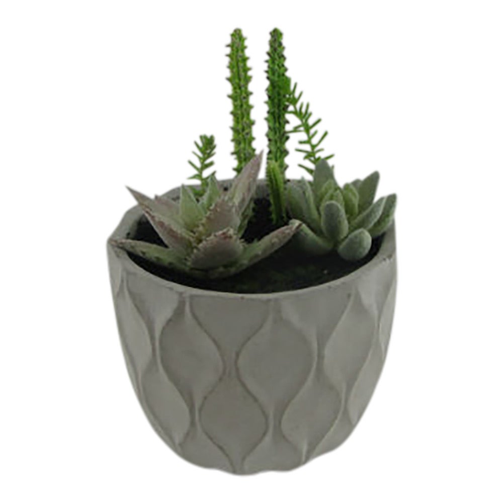Table Art, Faux Succulent Arrangement, 6 x 6 x 7.75 Inch, Plastic, in Light Gray Concrete Planter,1 - 1 EACH