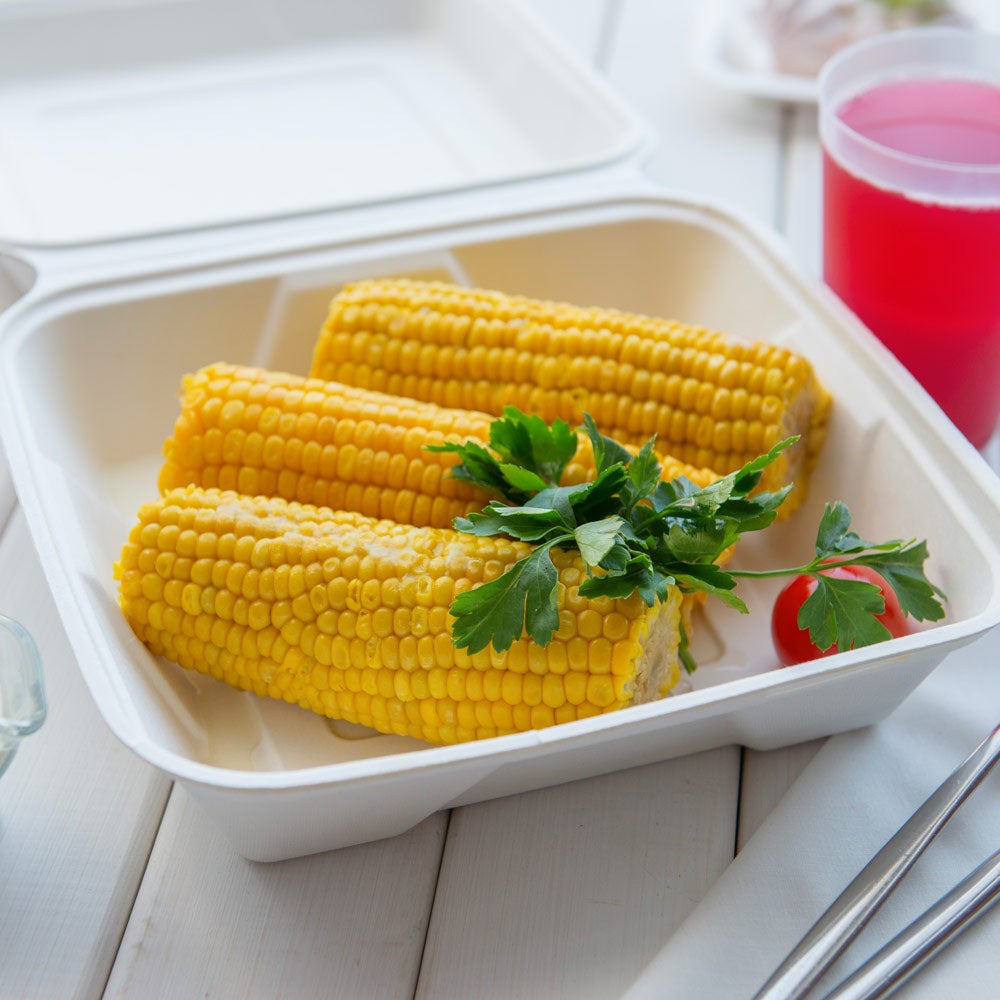 Containers, Take-Out, Large 9.4 Inch, Bagasse, White Collezione Design, Clamshell, 9.4 Linear Inch,1 - 100 COUNT