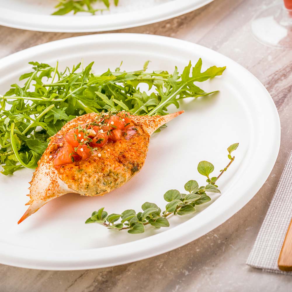 Plates, Dinner, 10 Inch, Bagasse, White Collezione Design, Round, 10 Linear Inch,1 - 100 COUNT