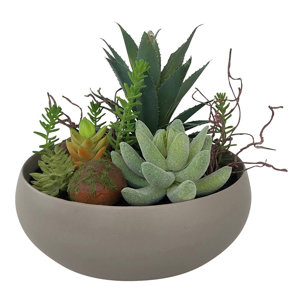 Table Art, Faux Succulent Arrangement, 6 x 6 x 5.25 Inch, Plastic, in Taupe Helio Porcelain Planter,1 - 1 EACH