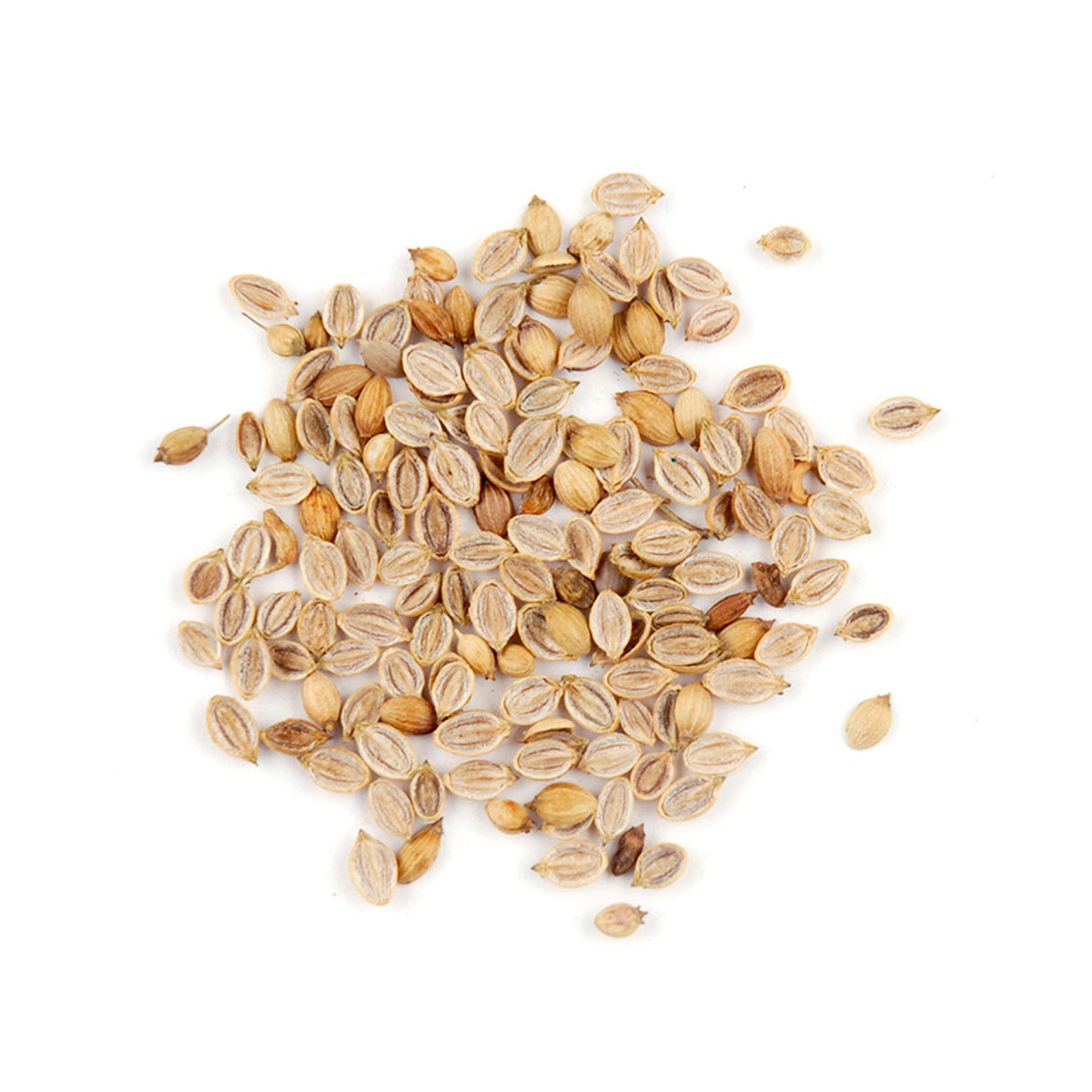 Spice, Coriander, Cracked,6 - 8 OUNCE