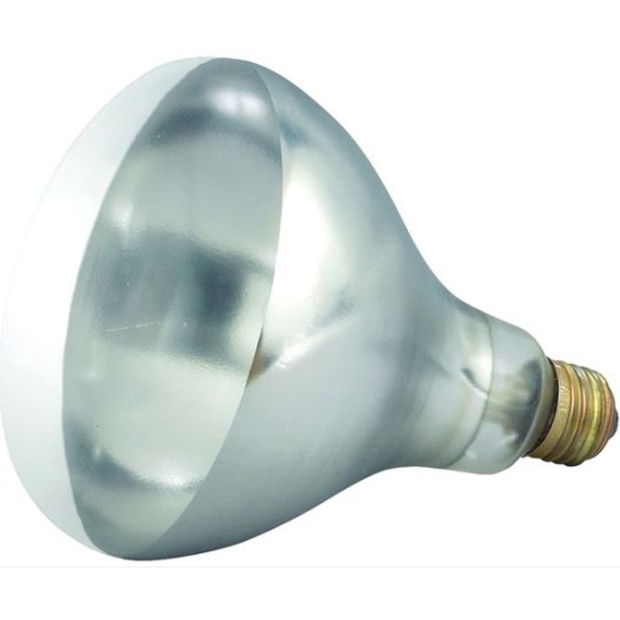 Heat Lamp Bulb, 250 Watt, Shatter-Resistant, Clear, For EHL-2 Heat Lamp,1 - 1 EACH
