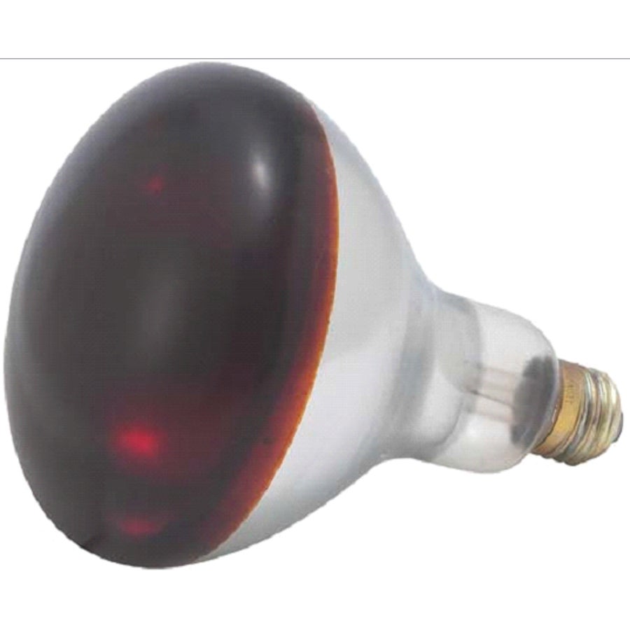 Heat Lamp Bulb, 250 Watt, Shatter-Resistant, Red, for EHL-2 Heat Lamp,1 - 12 COUNT
