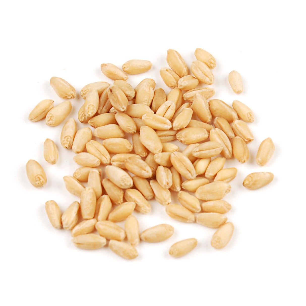 Wheat Berries, White, Soft,1 - 10 POUND
