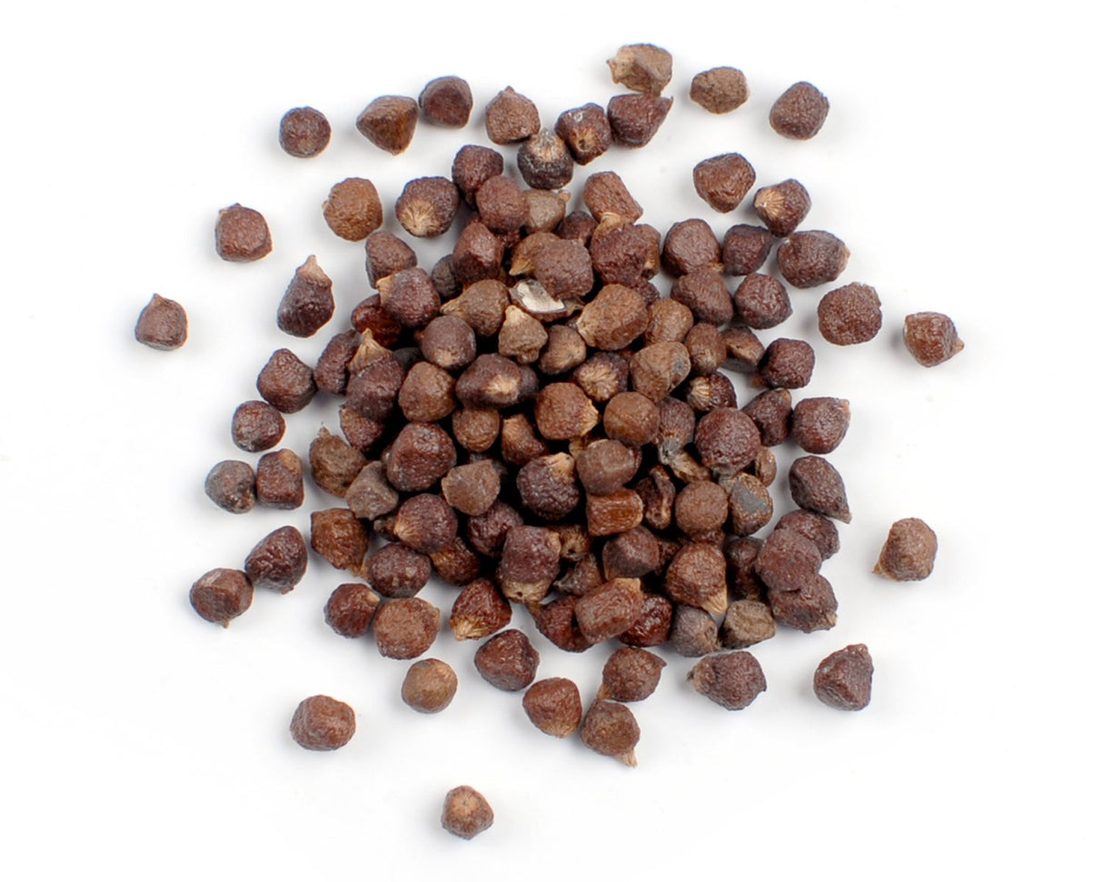 Spice, Grains of Paradise (Melegueta Pepper),1 - 4 POUND