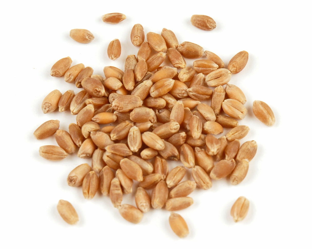 Wheat Berries,1 - 25 POUND