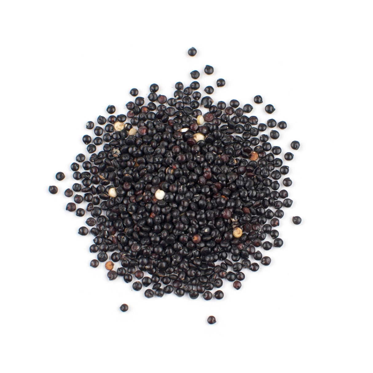 Quinoa, Black, Organic,1 - 10 POUND