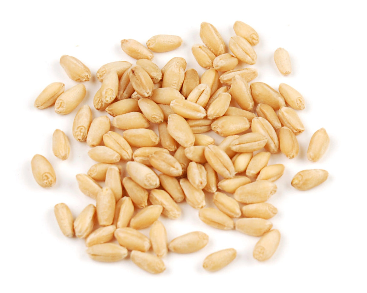 Wheat Berries,1 - 25 POUND