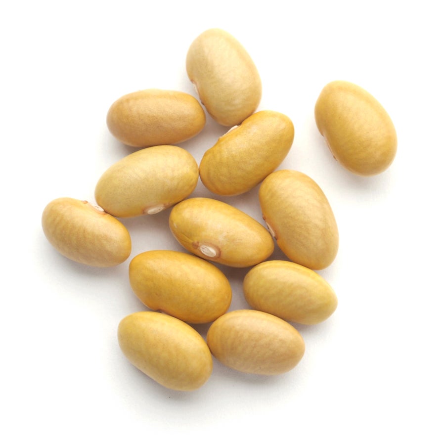 Beans, Mayacoba (Canary),1 - 10 POUND