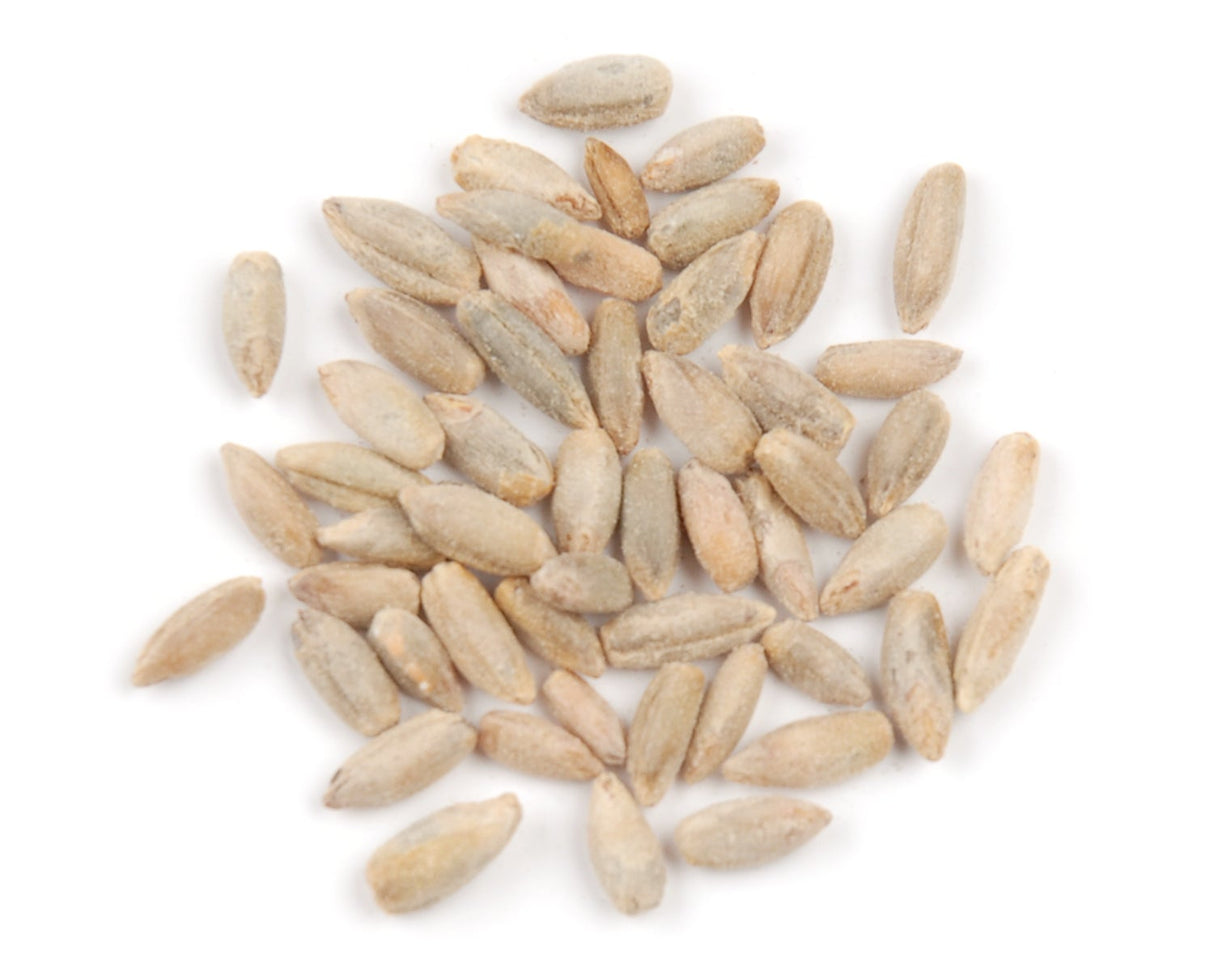 Rye Berries,1 - 25 POUND