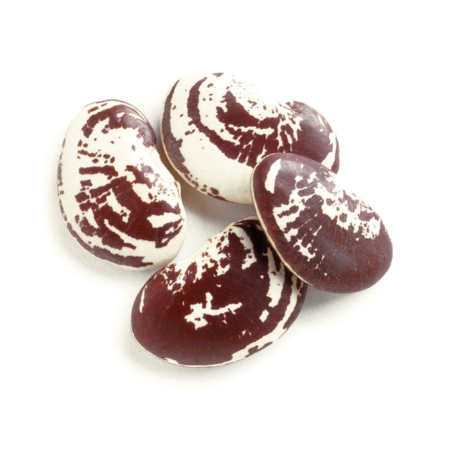 Beans, Christmas Lima,1 - 10 POUND