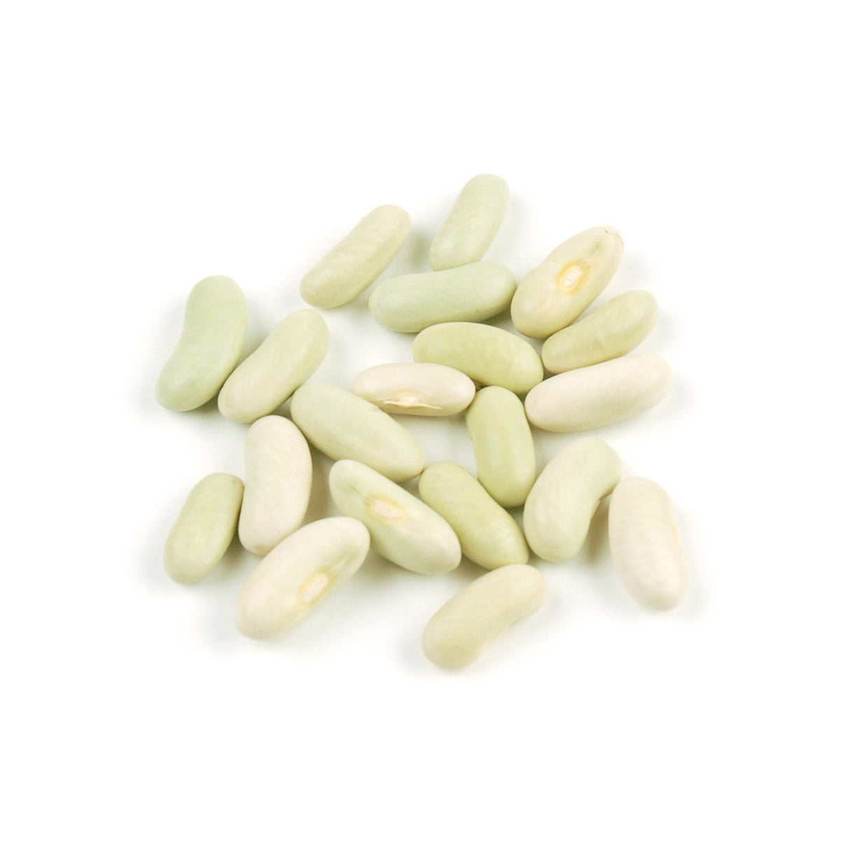 Beans, Flageolet,1 - 10 POUND
