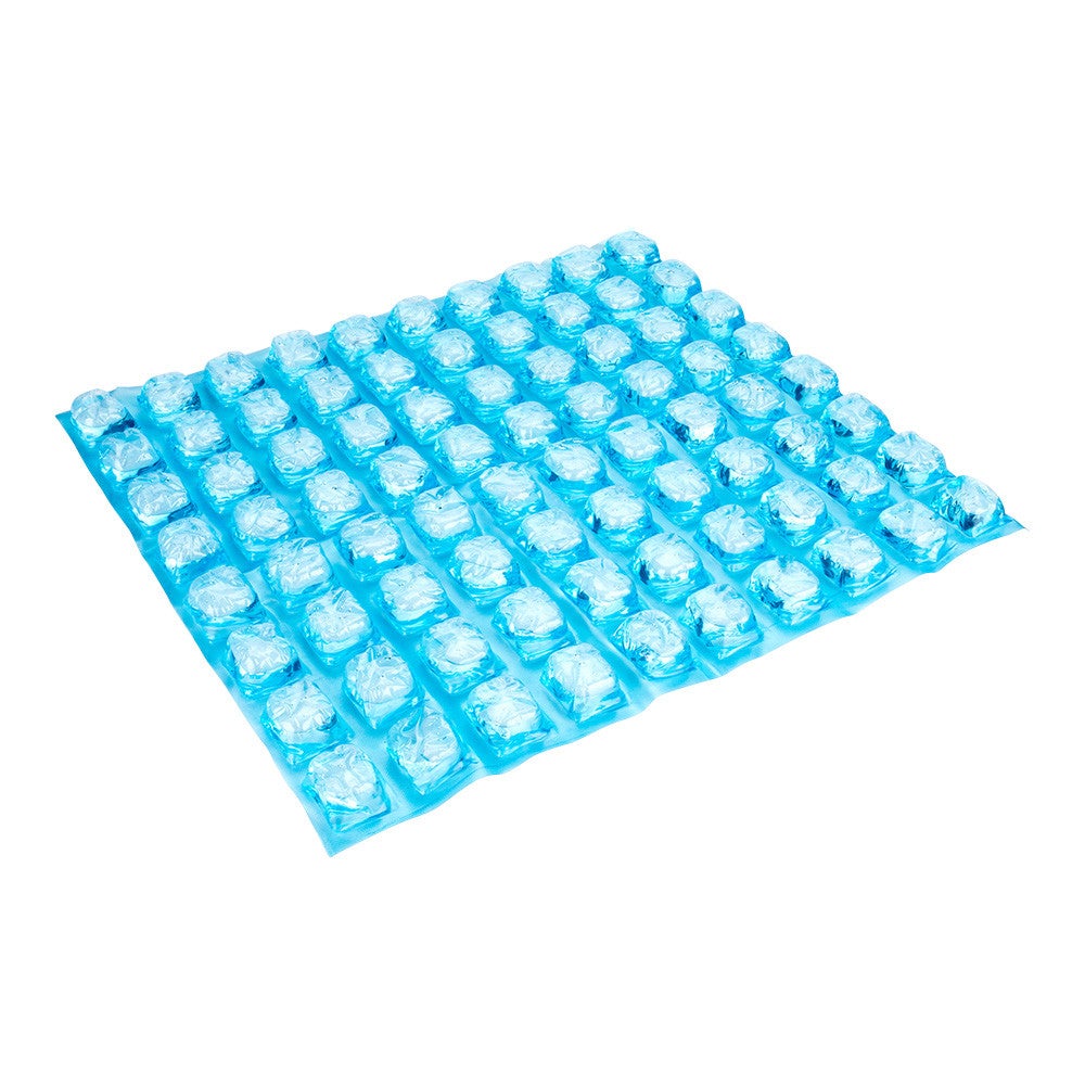 Ice Pack Sheets, Leakproof Gel, Cater Ice 19 x 15.8 x 0.8 Inch, Reusable, Blue,1 - 1 EACH
