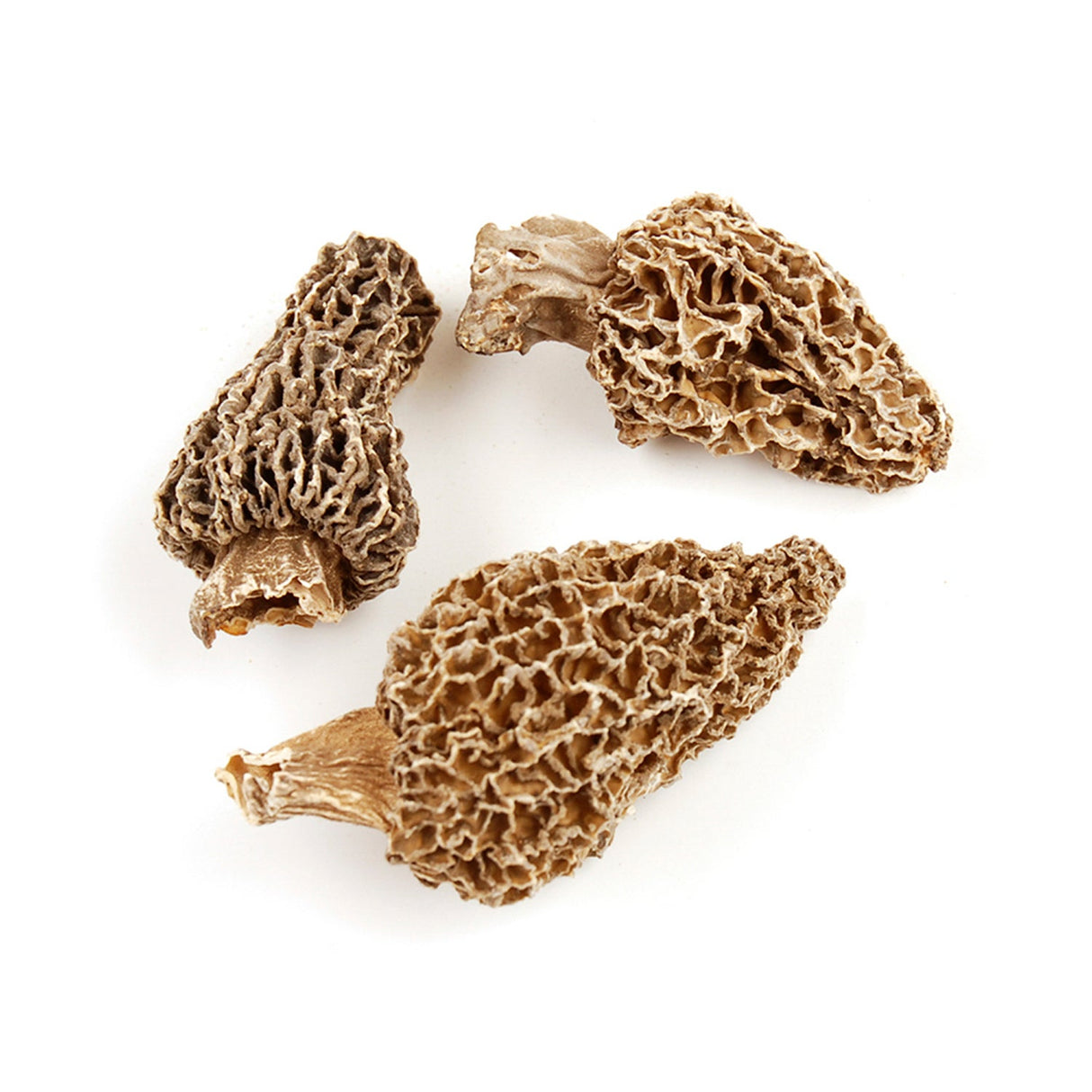 Mushrooms, Morel, Shelf-Stable,1 - 15 POUND