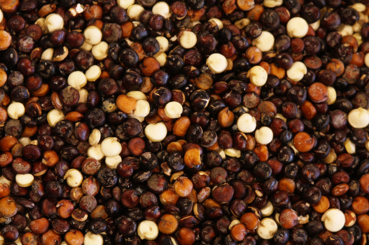 Quinoa, Tri-Color,6 - 2.2 POUND
