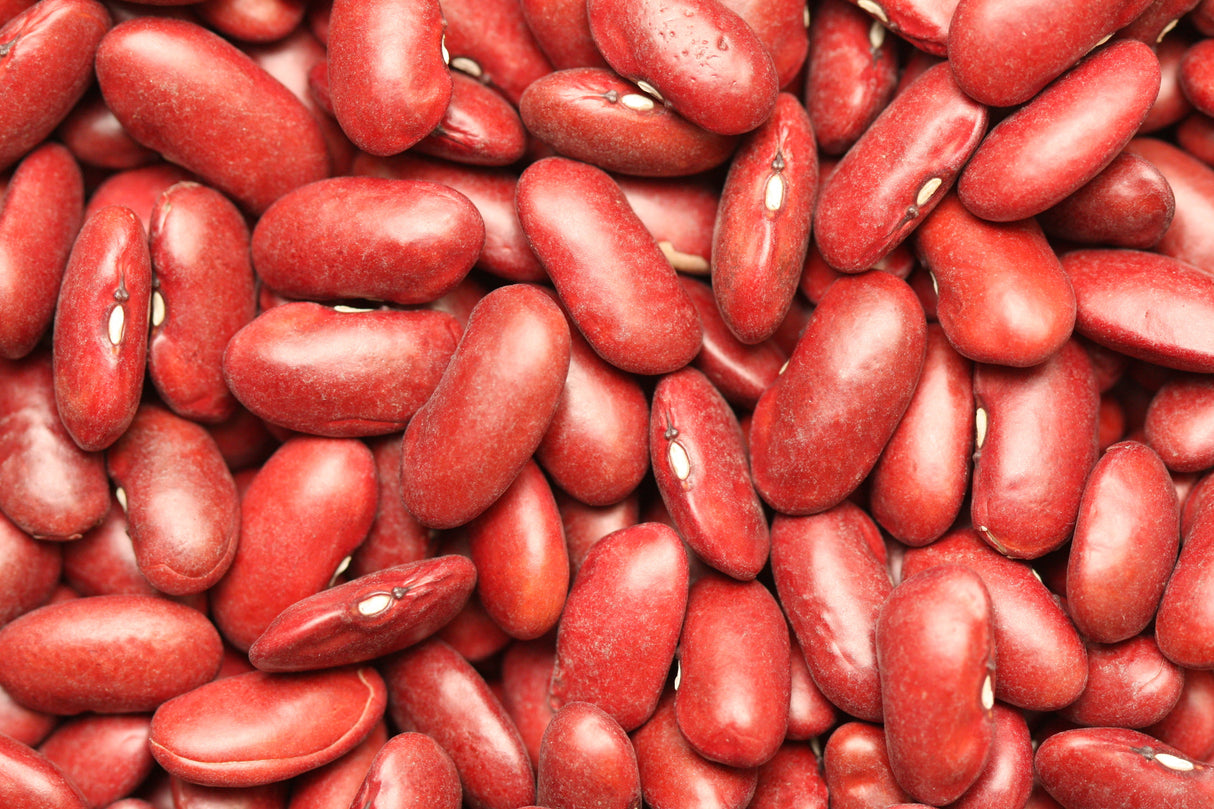 Beans, Dark Red Kidney, Dry,6 - 2.2 POUND