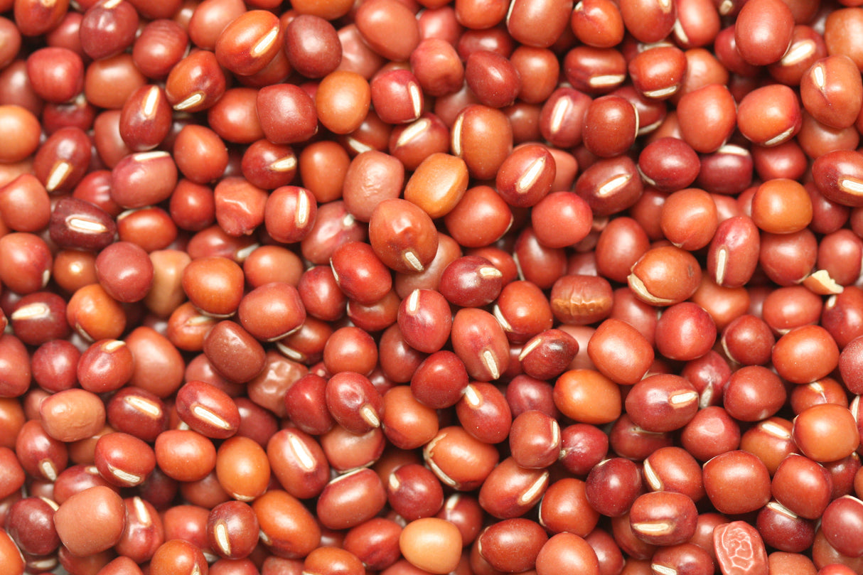 Beans, Adzuki, Dry,6 - 2.2 POUND