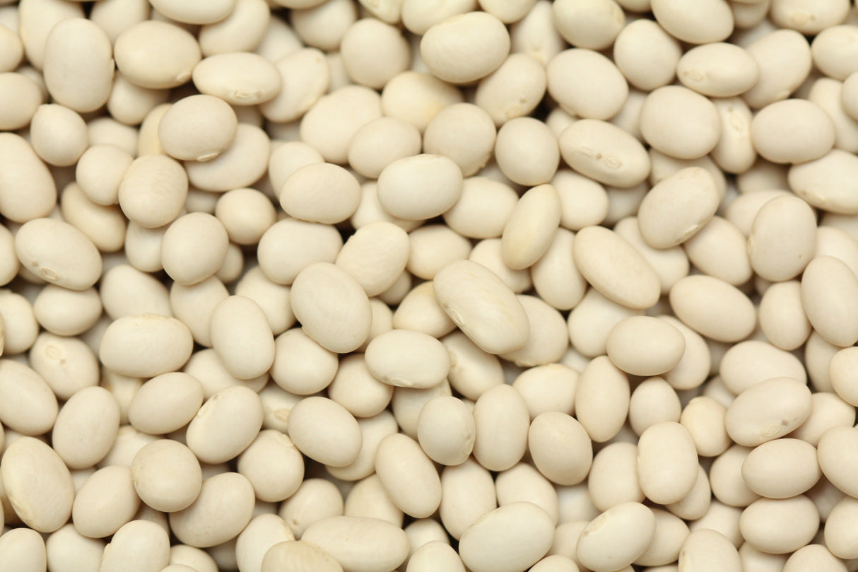 Beans, Navy, Dry,6 - 2.2 POUND