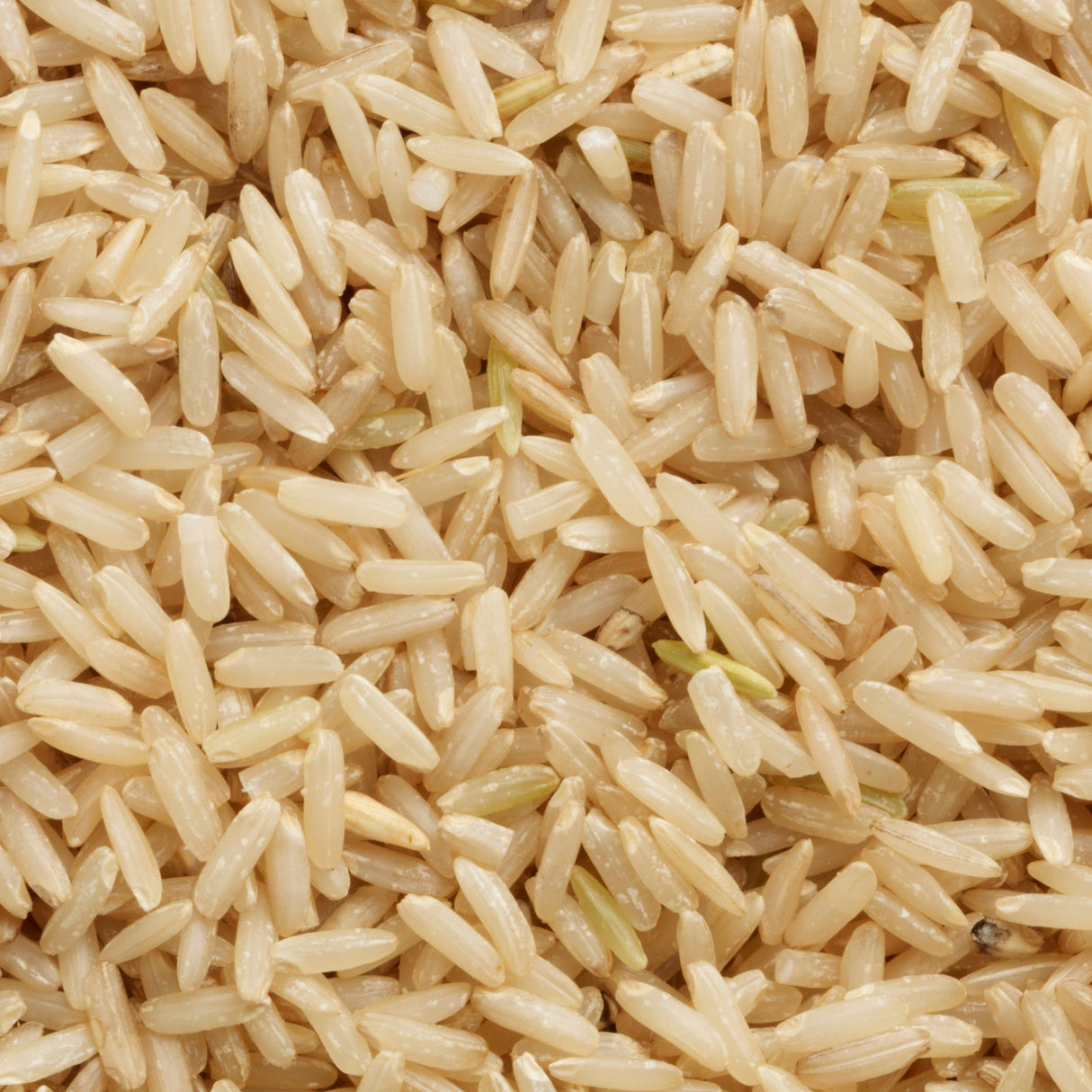 Rice, Brown Jasmine, Long Grain,6 - 2.2 POUND