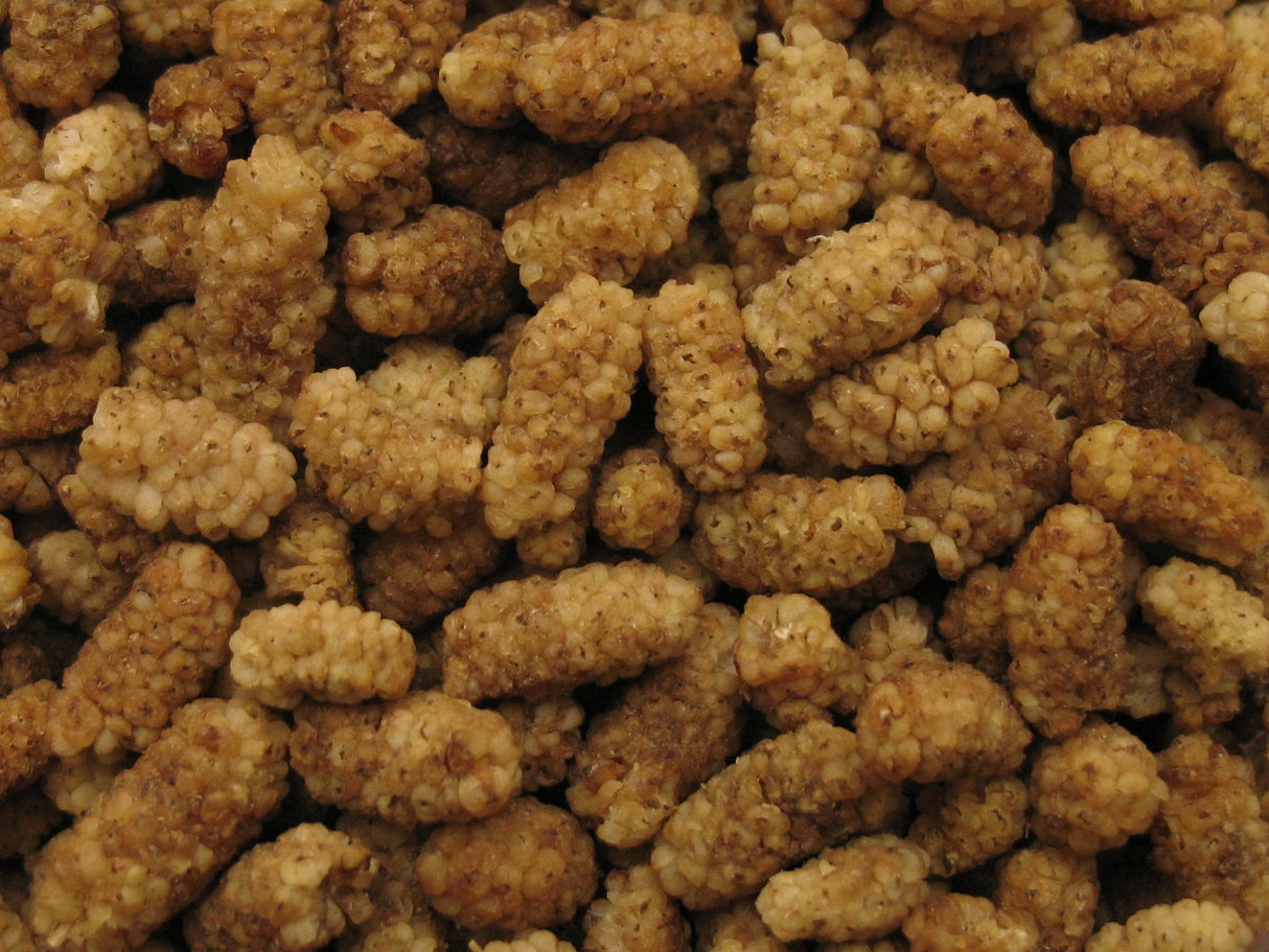 Mulberries, Dried,6 - 2.2 POUND