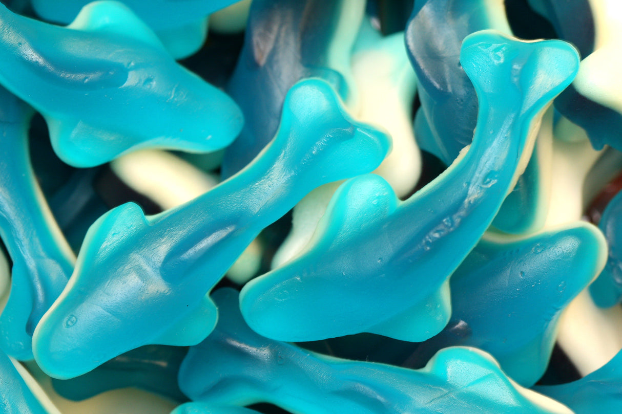 Candy, Gummy Shark, Blue, Bulk,6 - 2.2 POUND