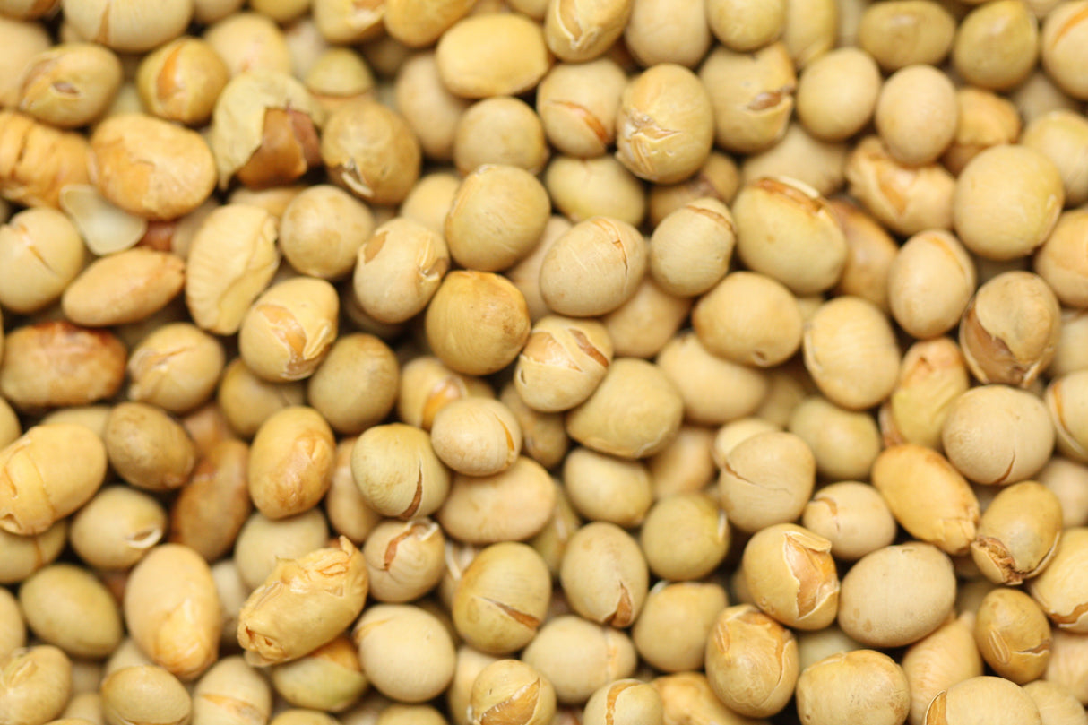 Beans, Soya, Roasted & Unsalted, Dry,6 - 2.2 POUND