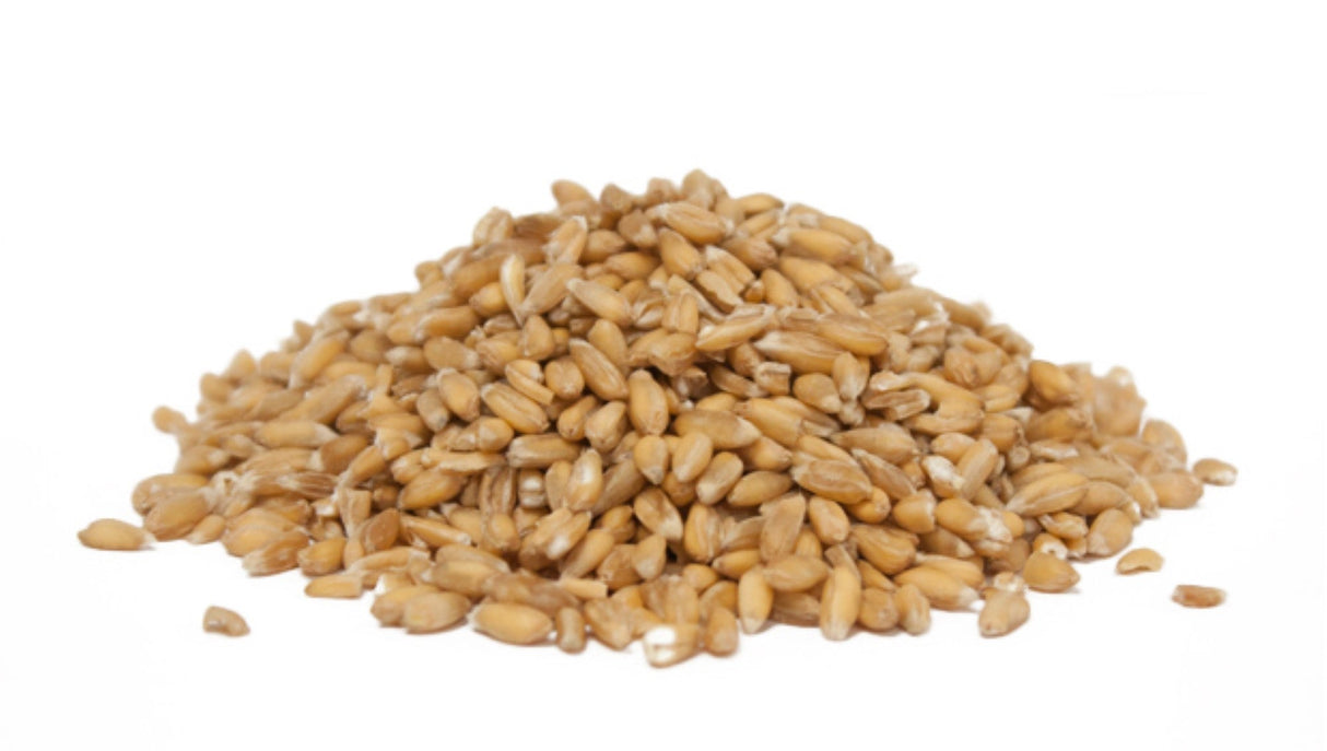 Spelt,6 - 2.2 POUND