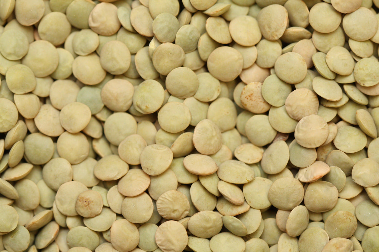 Lentils, Green, Dry,6 - 2.2 POUND