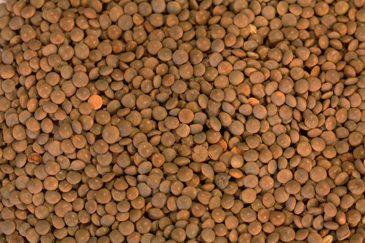Lentils, Brown, Dry,6 - 2.2 POUND