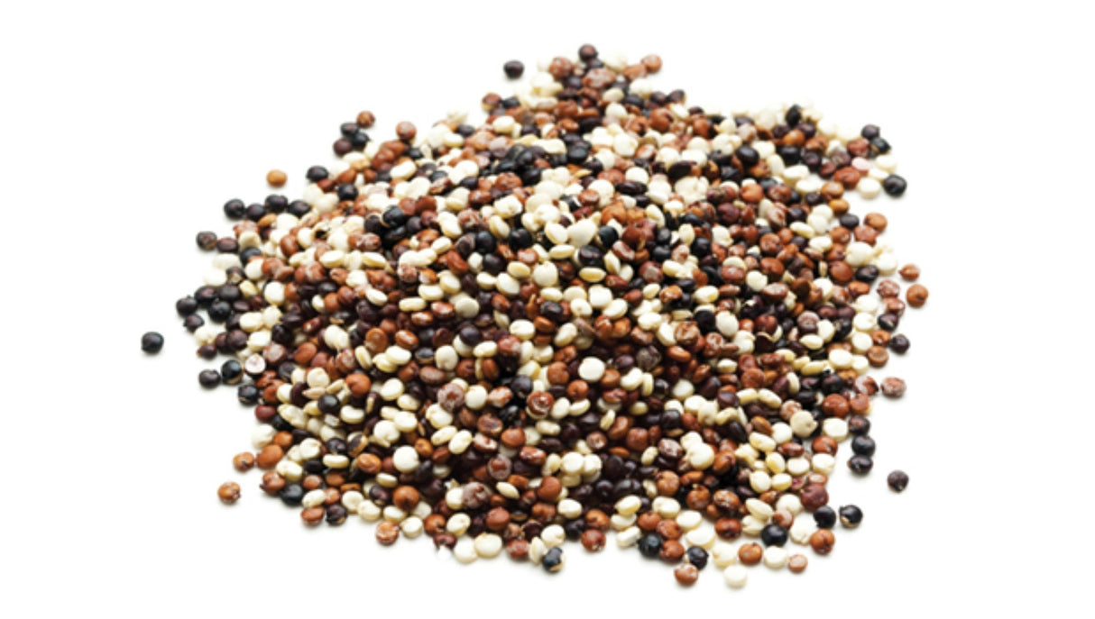 Quinoa, Tri-Color,1 - 25 POUND