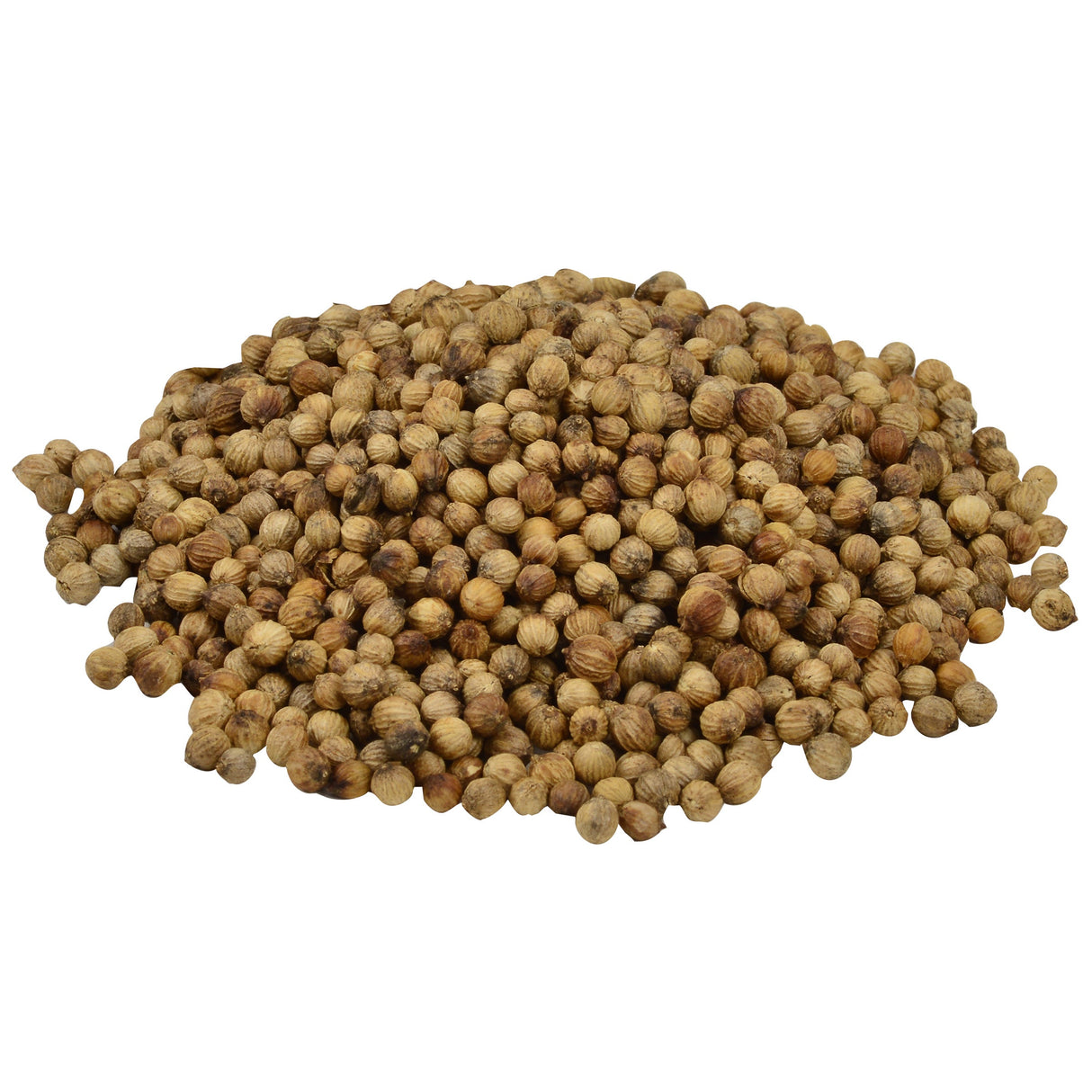 Spice, Coriander Seed, Whole,6 - 11 OUNCE