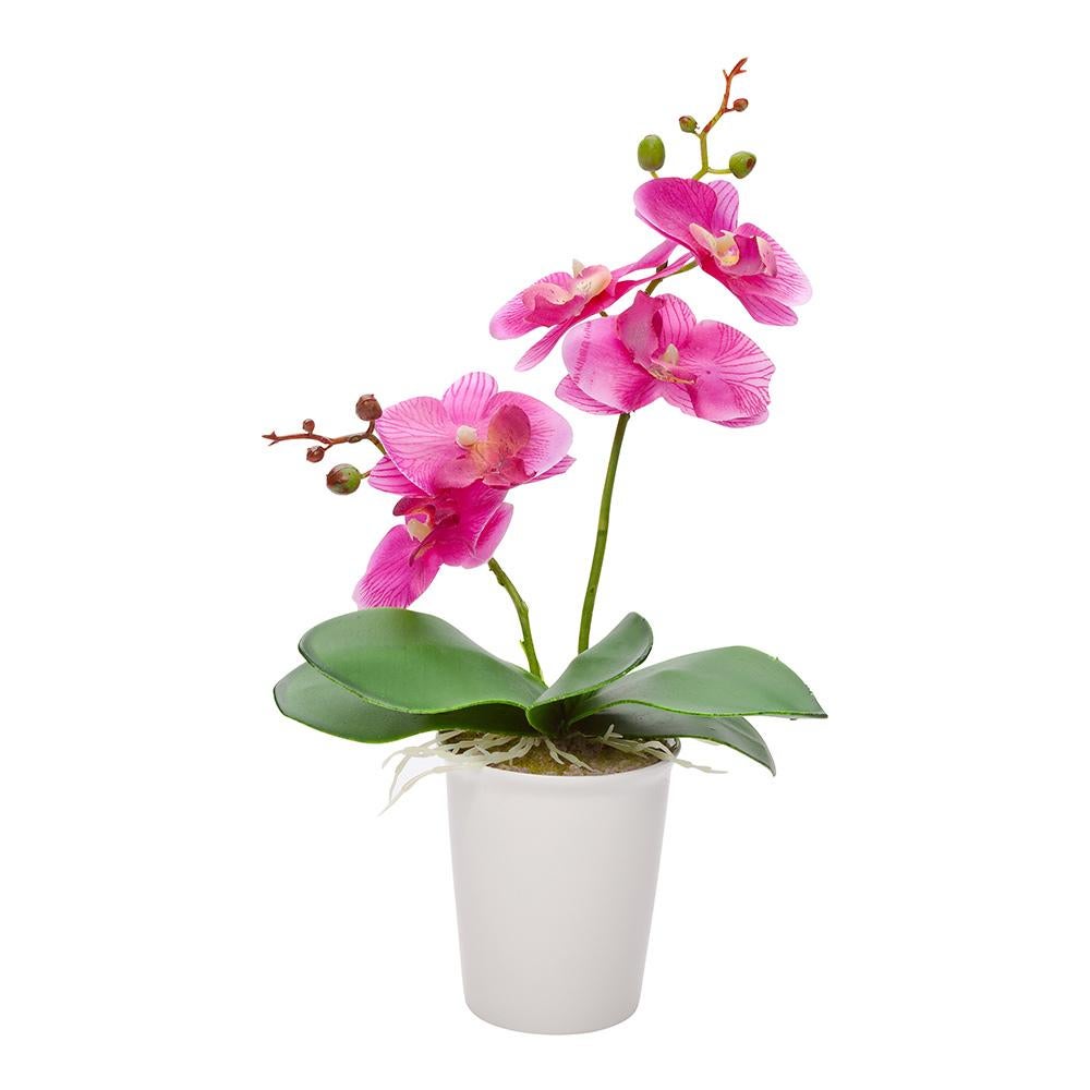 Flowers, Artificial, 5 Bloom, Orchids, Plastic, Purple, in Porcelain Pot,1 - 1 EACH