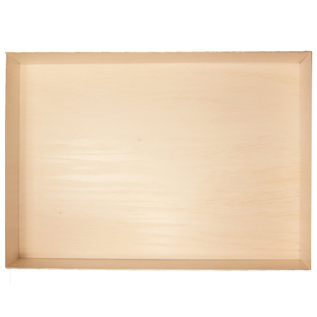 Trays, Large 11 x 15 x 3 Inch, Palm Leaf, Natural, Collapsible,4 - 25 COUNT