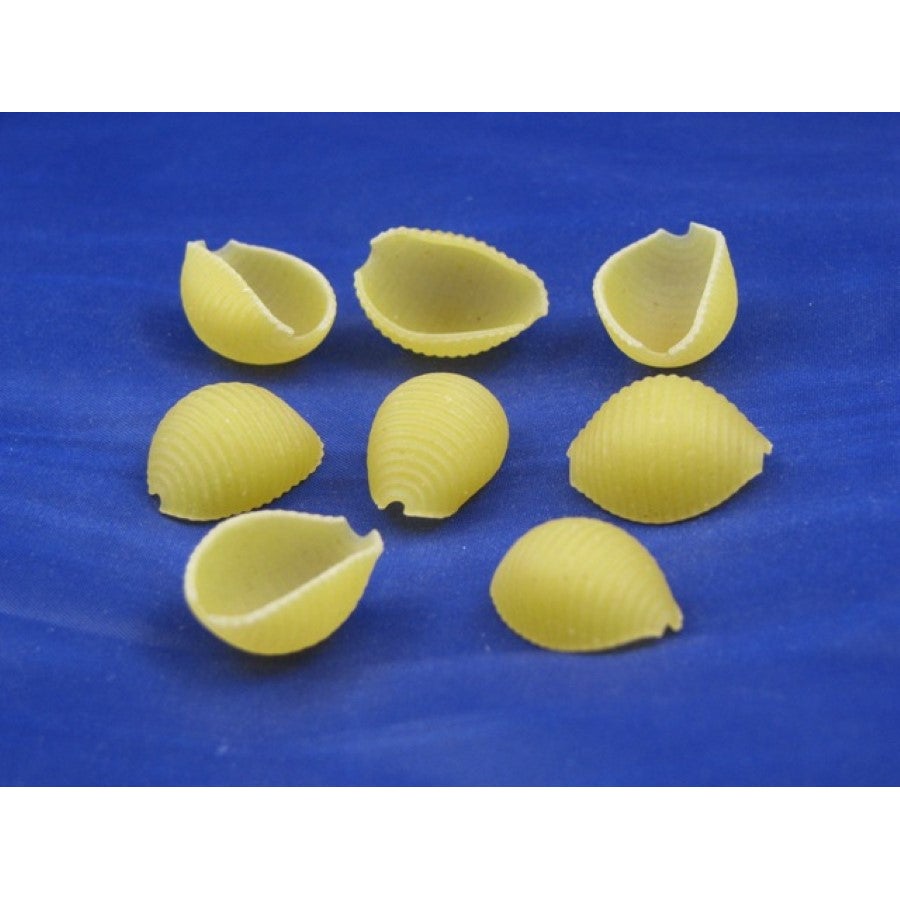 Pasta, Shells, Medium,2 - 10 POUND