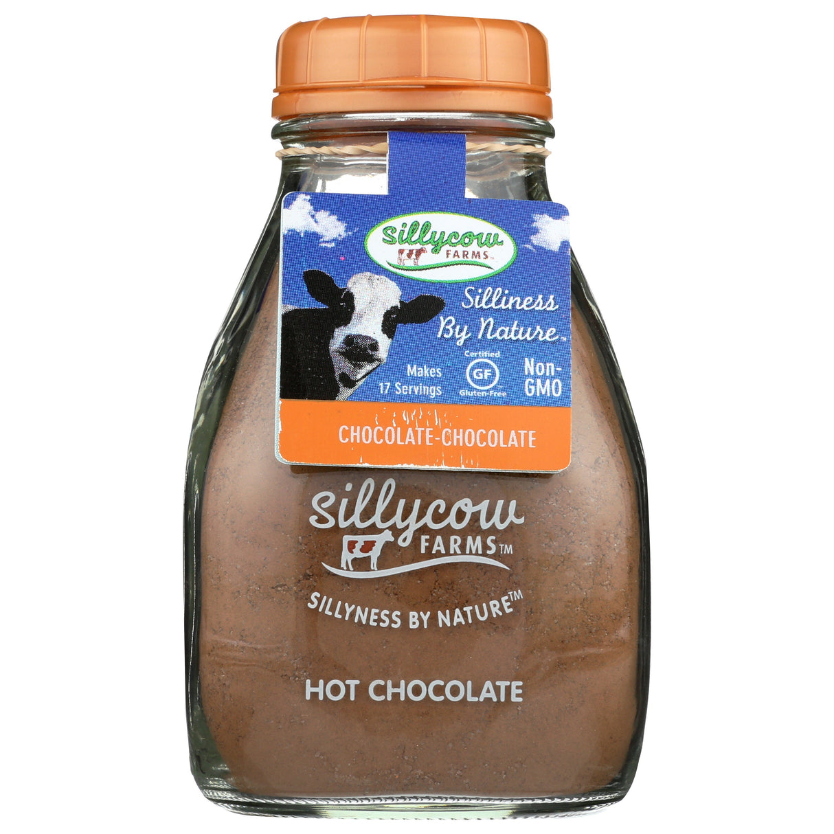 Hot Cocoa Mix,6 - 16.9 OUNCE