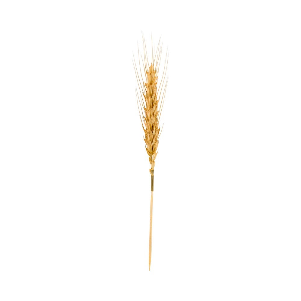 Skewers, 6 Inch, Wheat, Natural,1 - 500 COUNT