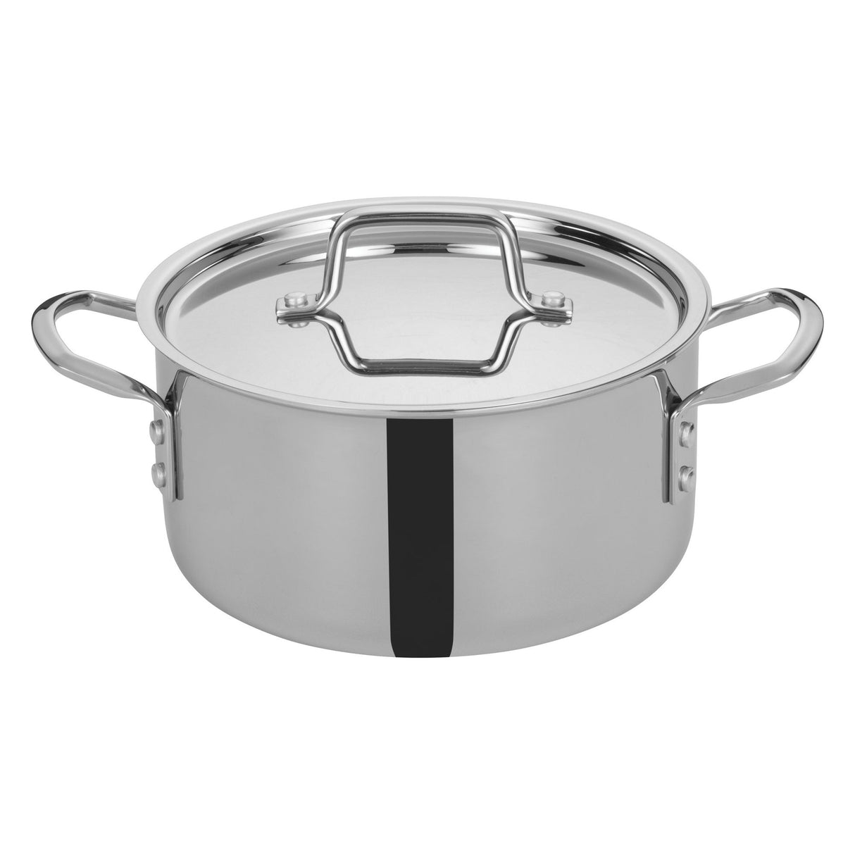 Pot, Stock, 4.5 Quart, Tri-Ply Stainless Steel, with Lid, 4.5 Quart,1 - 1 EACH