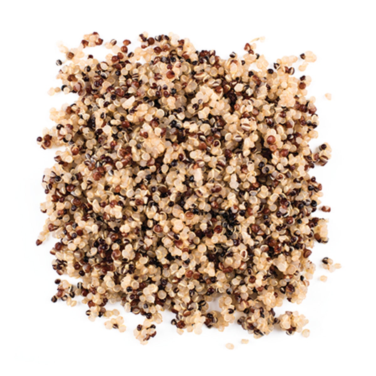 Quinoa, Tricolor, Cooked,6 - 35.2 OUNCE