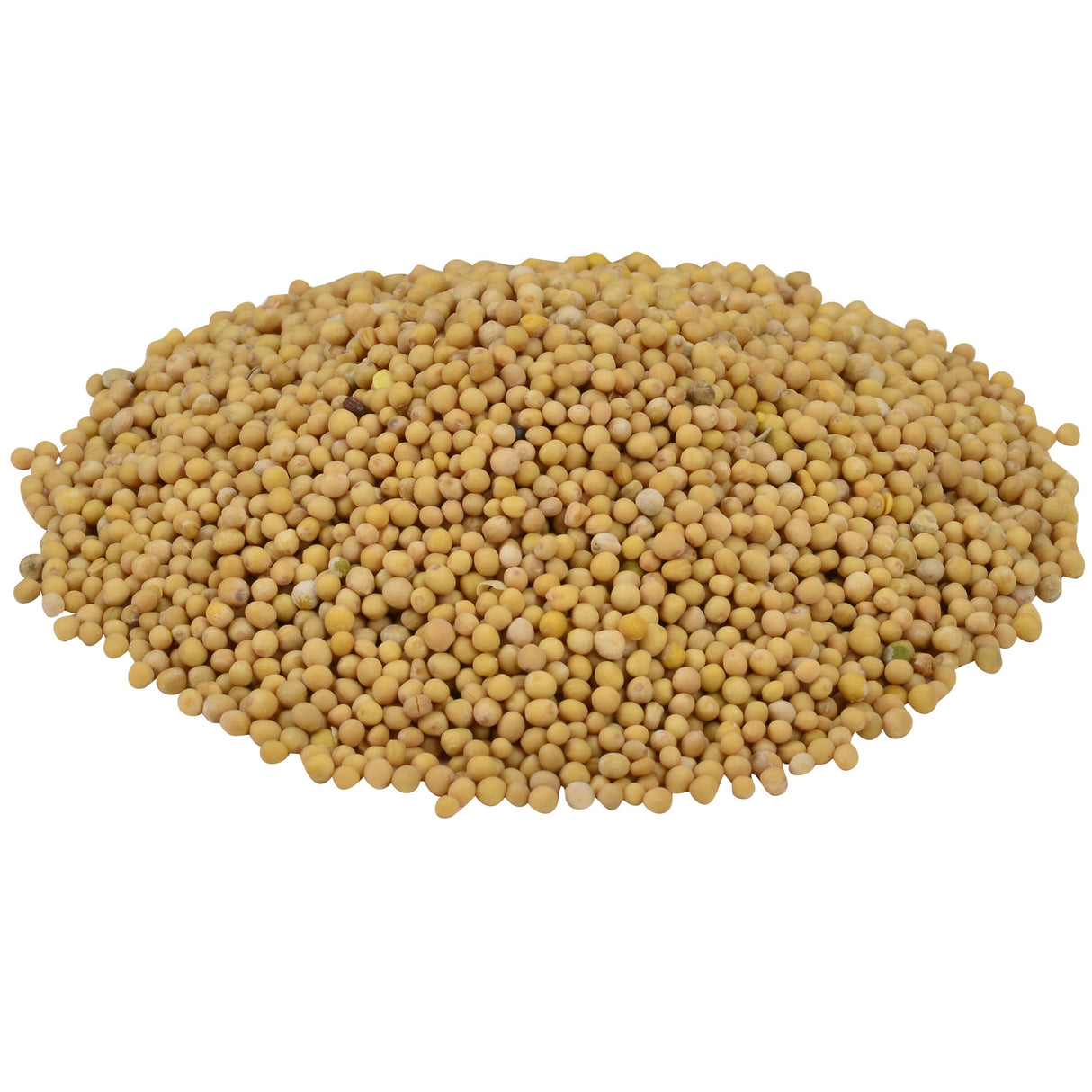 Spice, Mustard Seed, Whole,6 - 22 OUNCE