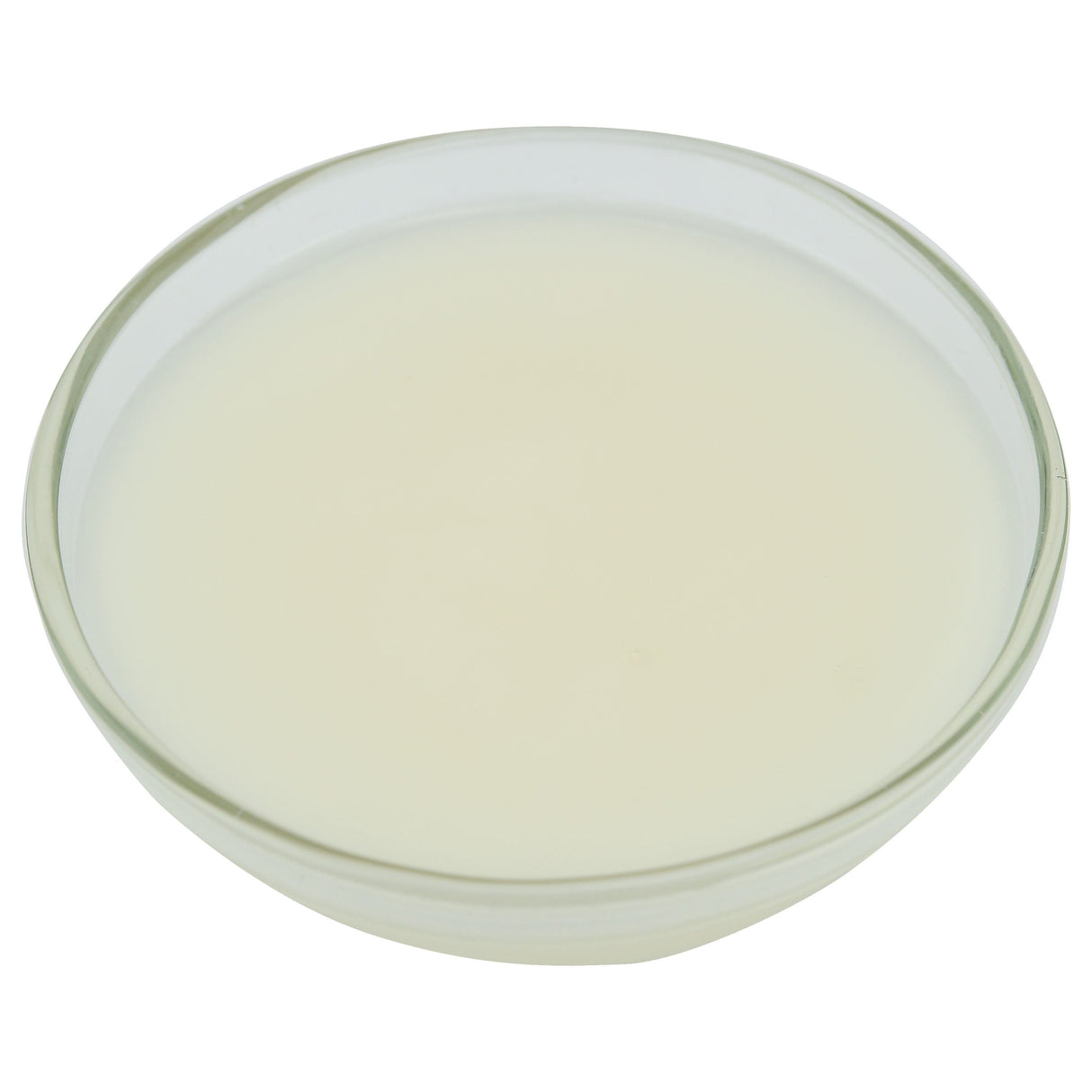 Glaze, Donut, Ready-to-Use,1 - 20 POUND