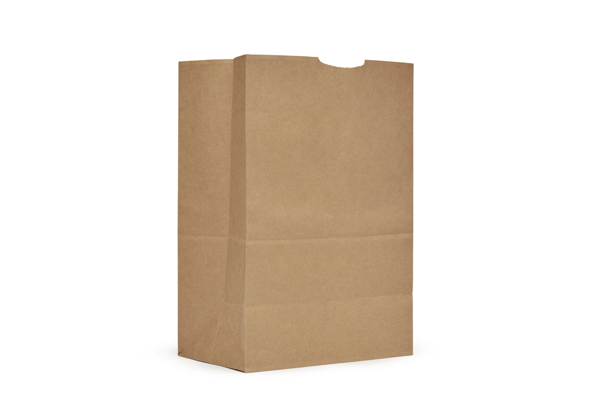 Bags, 75 Pound, Paper, Kraft,500 - 1 EACH