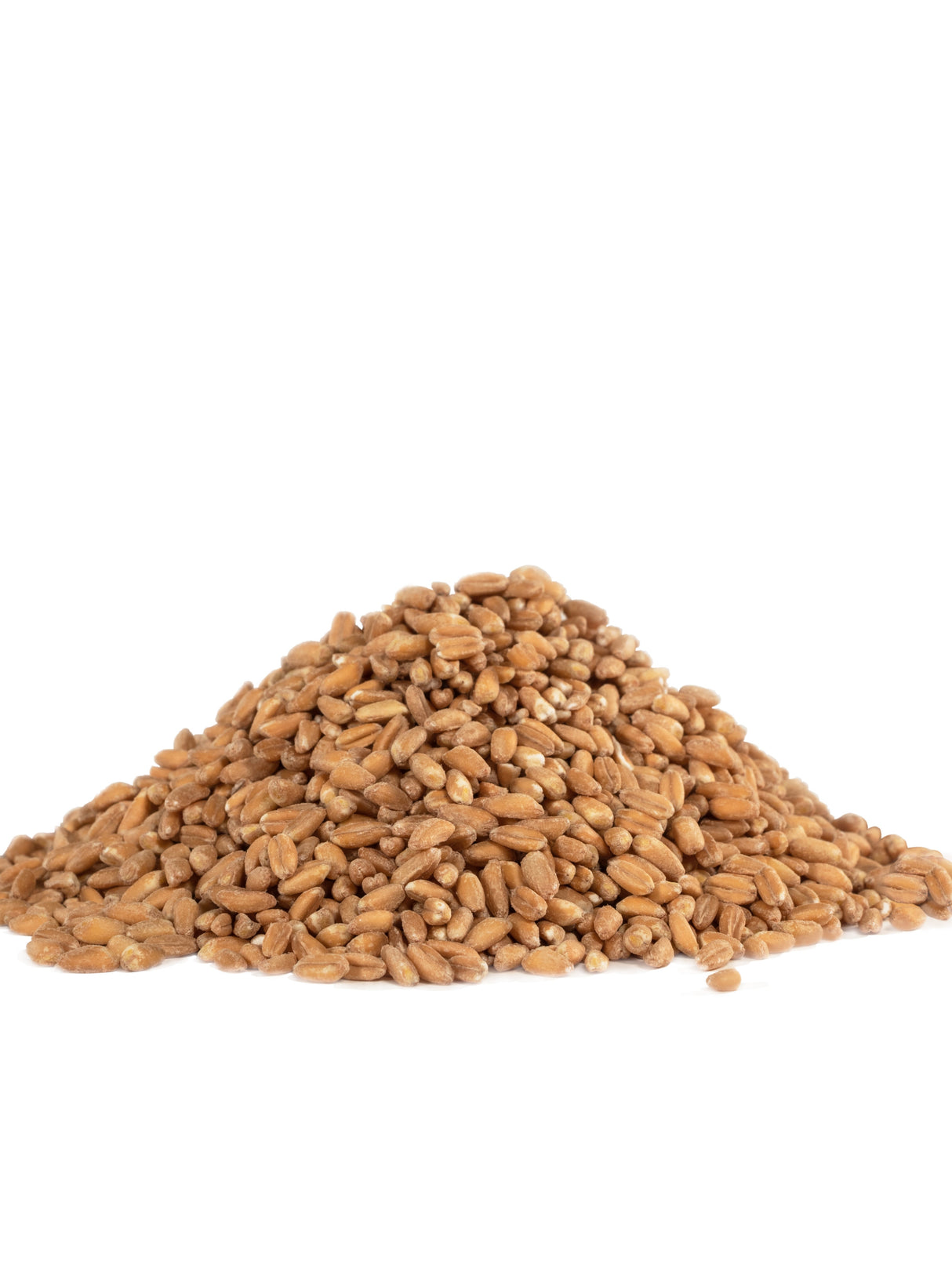 Farro,1 - 25 POUND