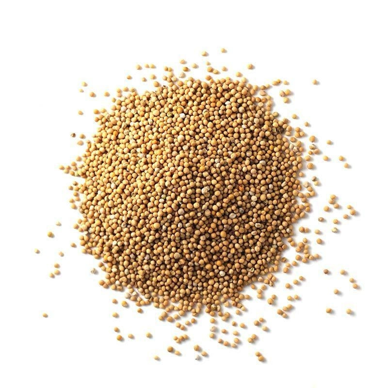 Spice, Mustard, Whole, Yellow,1 - 24 OUNCE