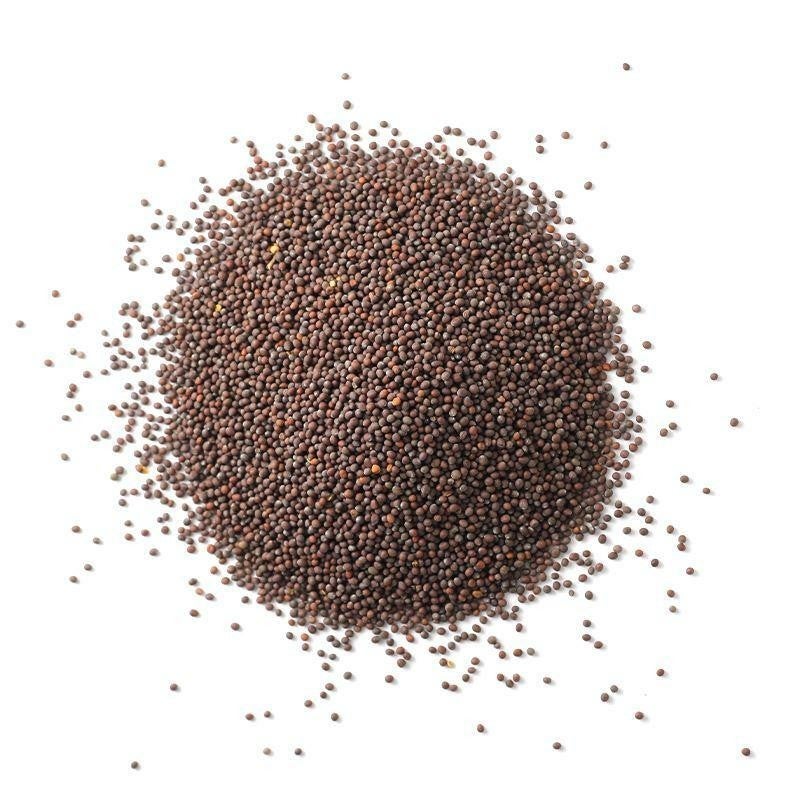 Spice, Mustard, Whole, Brown,1 - 24 OUNCE