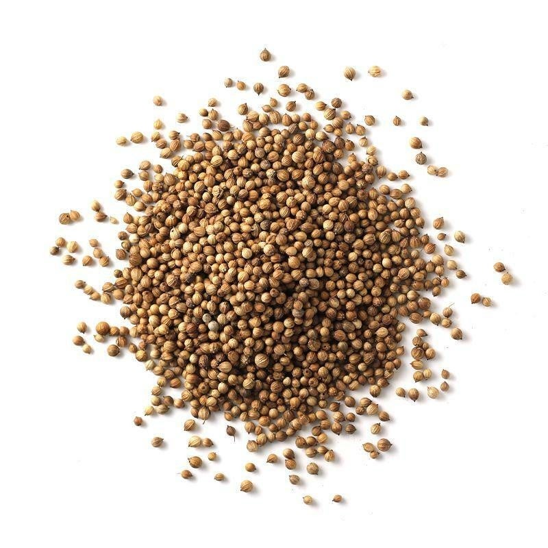 Spice, Coriander, Whole,1 - 10 OUNCE