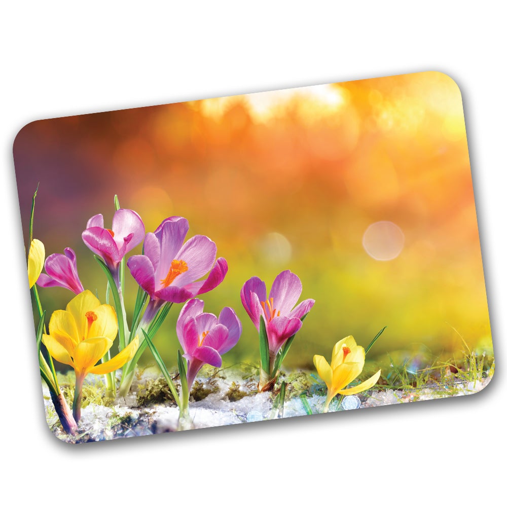 Tray Covers, 14 x 19 Inch, Spring,500 - 1 EACH