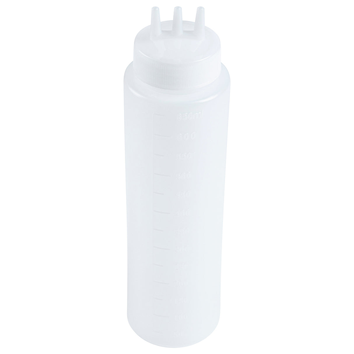 Bottles, Squeeze, 24 Ounce, Clear, Plastic, with Triple Dispersion Tip,1 - 6 COUNT